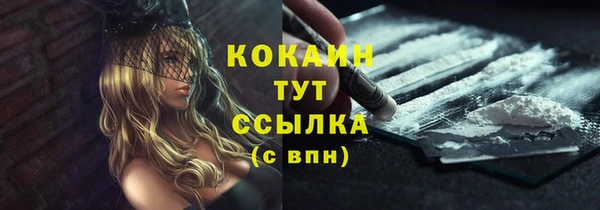 круглые Иннополис