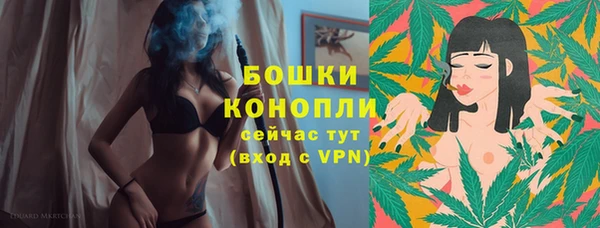прущие крисы Инта