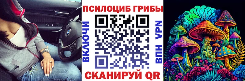 Галлюциногенные грибы мицелий  Купить закладки  Горно-Алтайск 