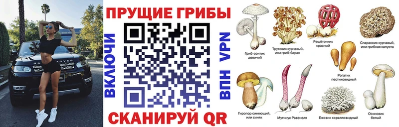 Псилоцибиновые грибы GOLDEN TEACHER Горно-Алтайск